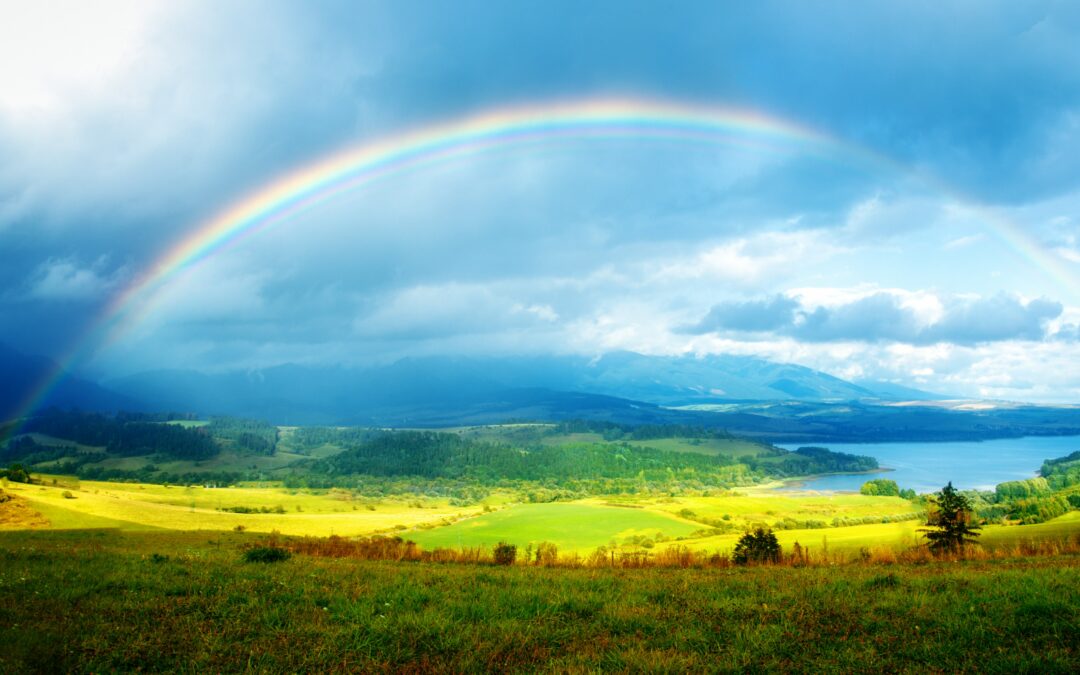 The Importance of Hope by Alan D. Wolfelt, Ph.D.