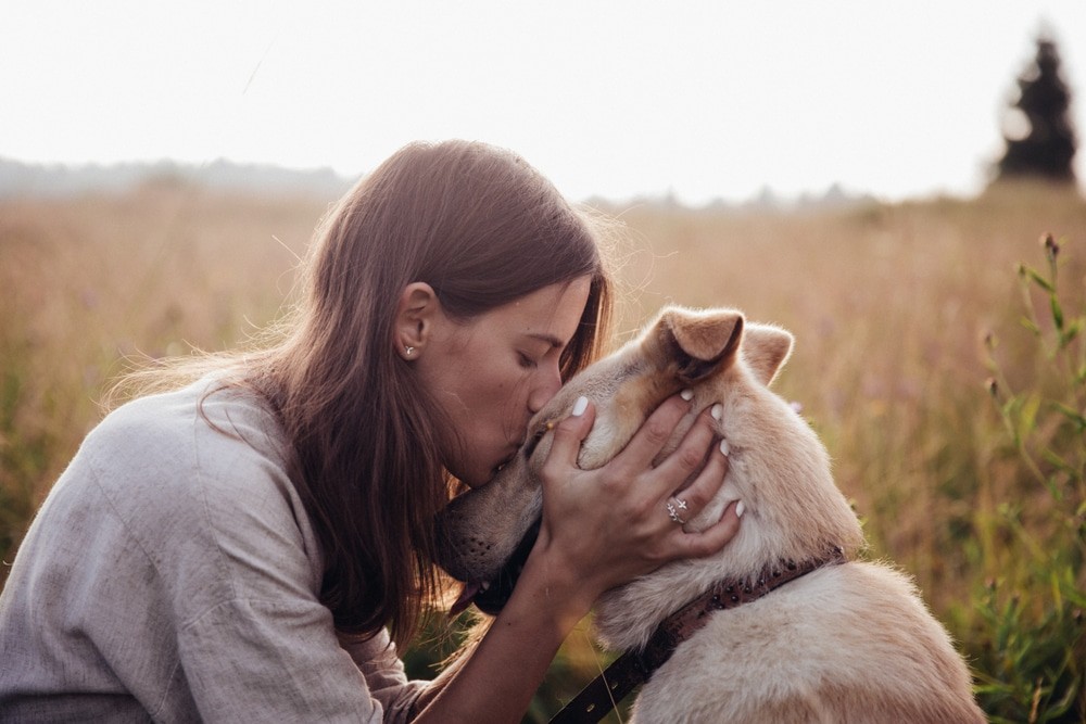 Animals & Grief by Judy Zimet