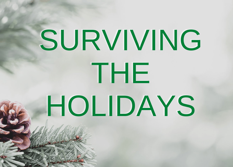 Surviving the Holidays by Marianne Gouveia