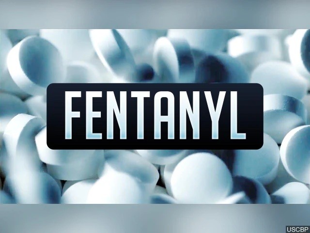 The Fentanyl Crisis: Awareness and Prevention by Marianne Gouveia