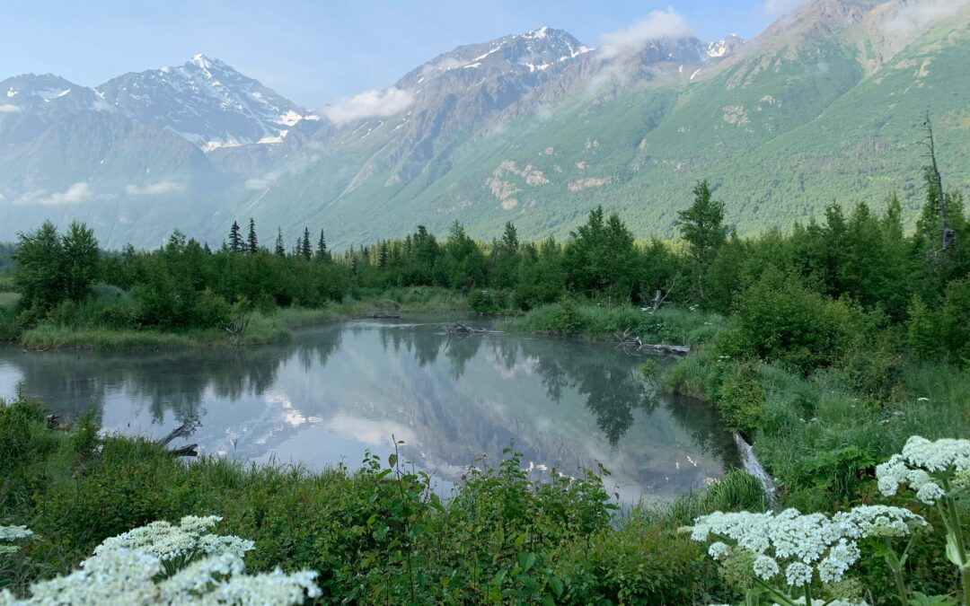North to Alaska by Greg Eckerman