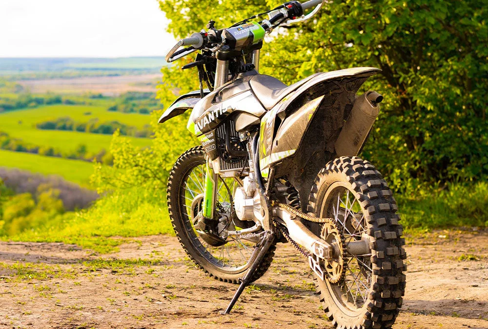 Supportive Actions That Meant the Most to Me by Janelle Cole