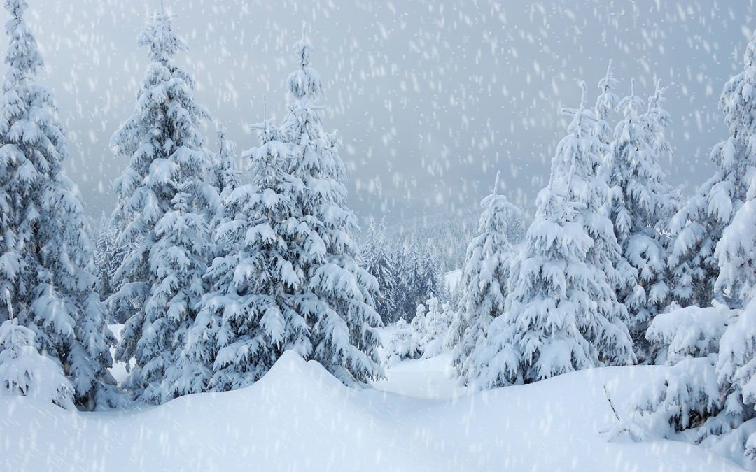 Holiday Grief by Marianne Gouveia